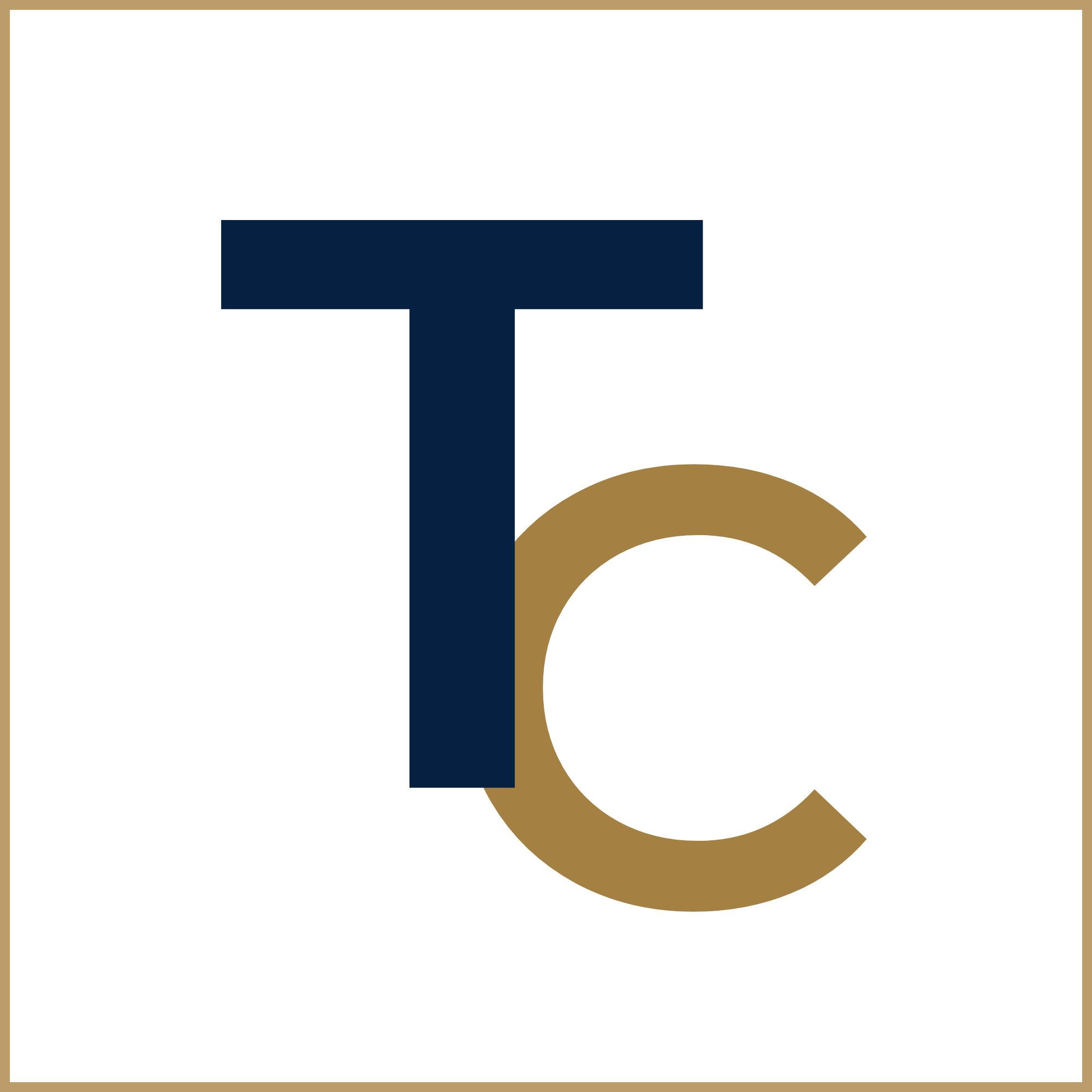 TRUE COST CONSULTING